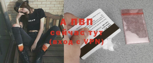 СК Пестово