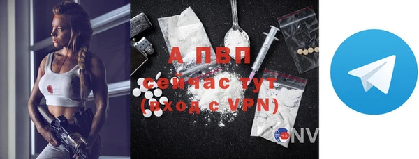 ГАЛЛЮЦИНОГЕННЫЕ ГРИБЫ Покров