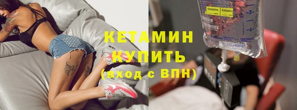 твердый Пересвет