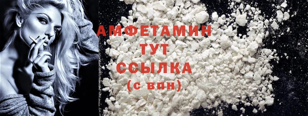твердый Пересвет