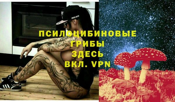 твердый Пересвет