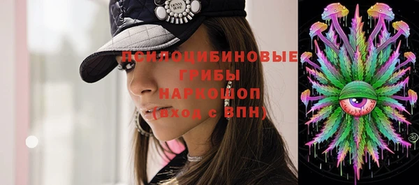 мяу мяу мука Покачи