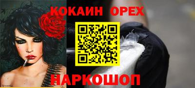 стаф Гатчина