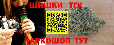 стаф Гатчина