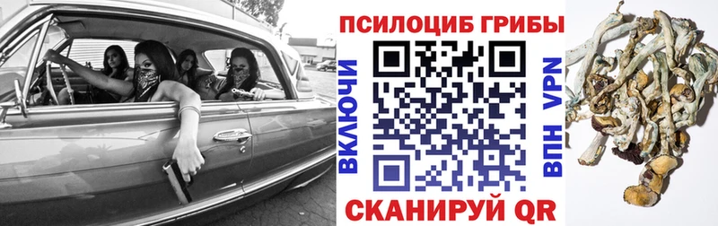 Галлюциногенные грибы прущие грибы  закладка  Великий Устюг 