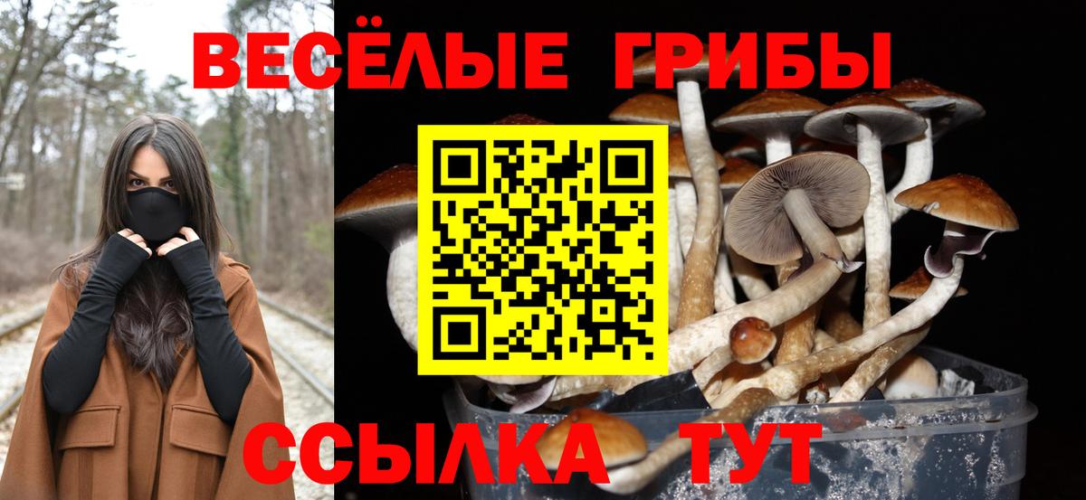 Великий Устюг  Галлюциногенные грибы GOLDEN TEACHER  Вход с VPN 