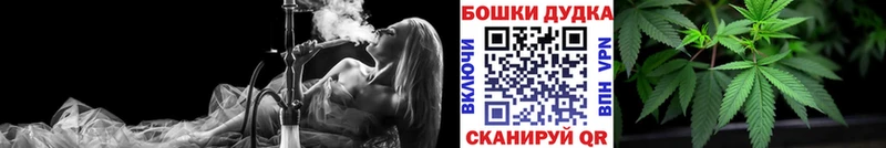 Конопля гибрид  Великий Устюг 