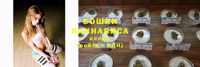 продажа наркотиков  Великий Устюг  Конопля SATIVA & INDICA 